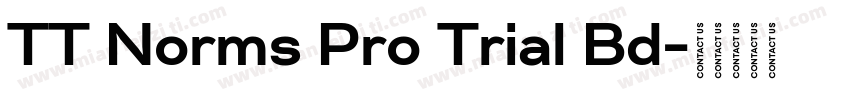 TT Norms Pro Trial Bd字体转换